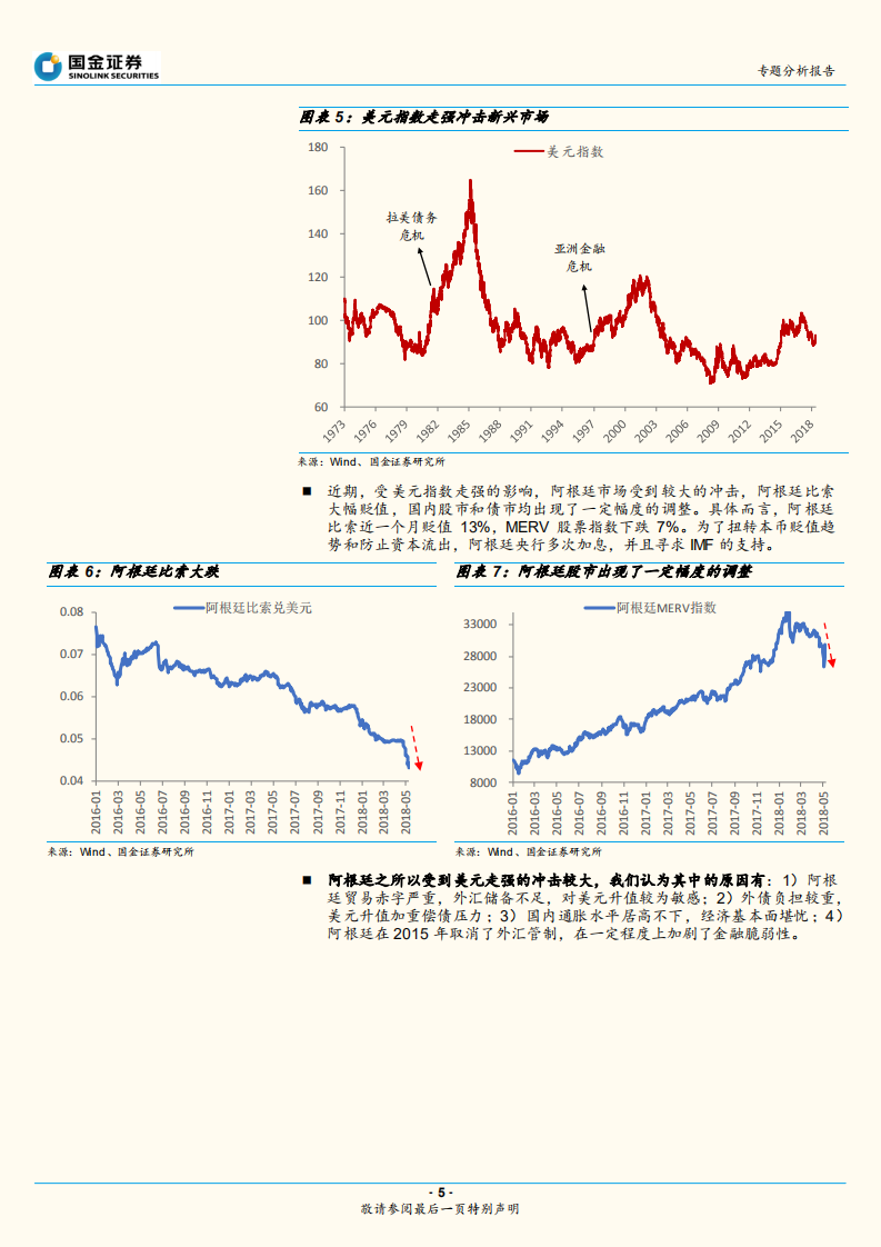 汇率专题分析报告：强美元来袭，阿根廷币值大跌，新兴市场如何应对.pdf 第5页