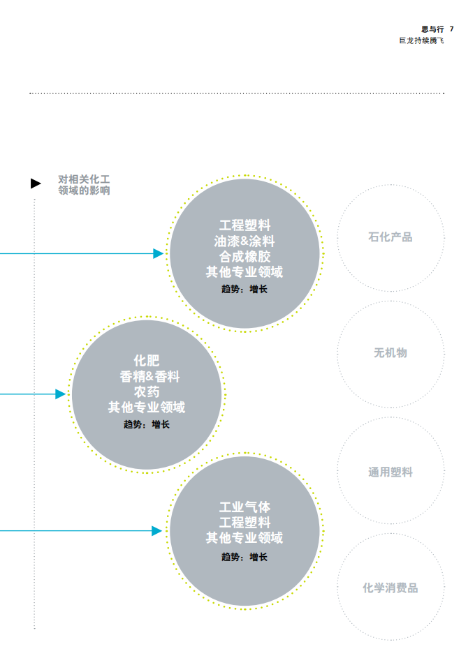 巨龙持续腾飞：中国未来的5年规划将为化工企业创造诸多机会.pdf 第7页