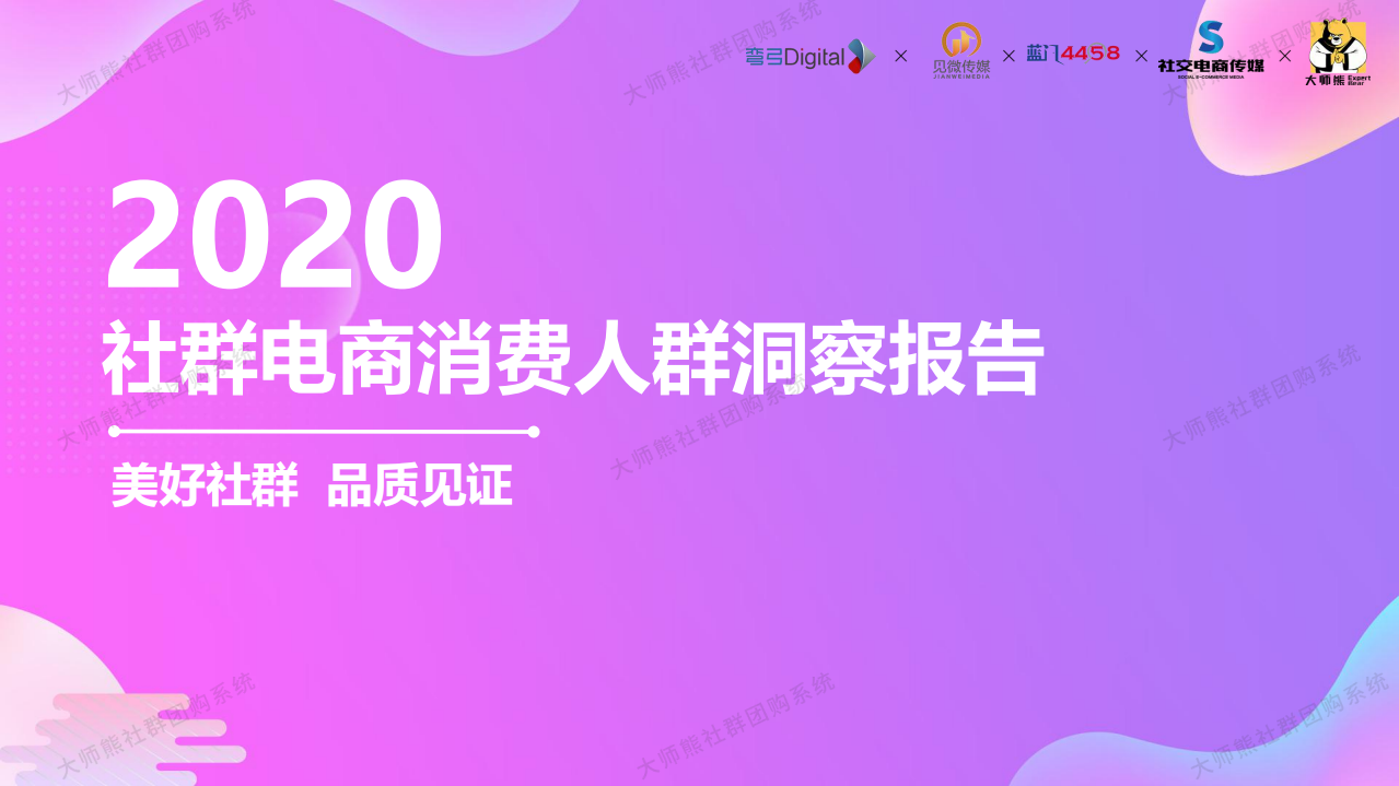 见微传媒&大师熊：2020社群电商消费人群洞察报告.pdf 第1页