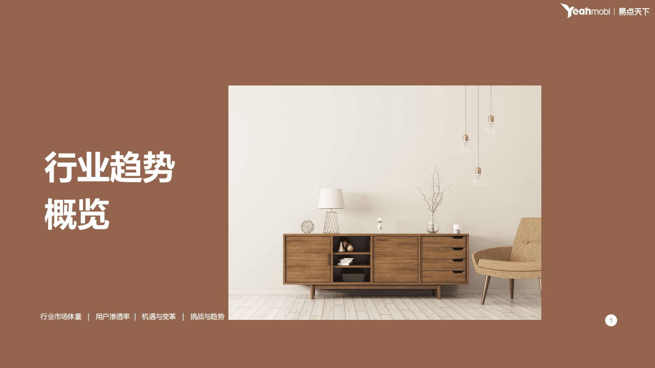 易点天下：2021家居装饰品行业洞察.pdf 第4页