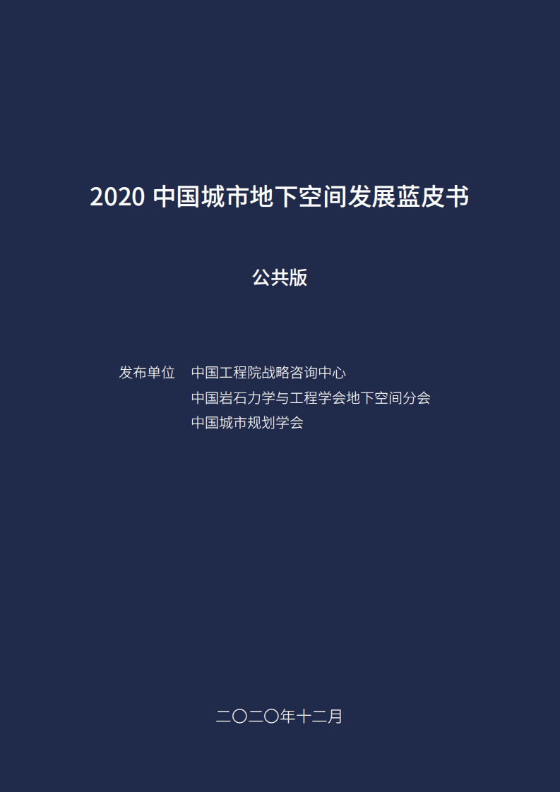 中国城市规划学会：2020中国城市地下空间发展蓝皮书.pdf 第1页