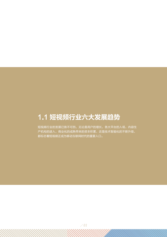 知萌：2019短视频营销白皮书.pdf 第5页
