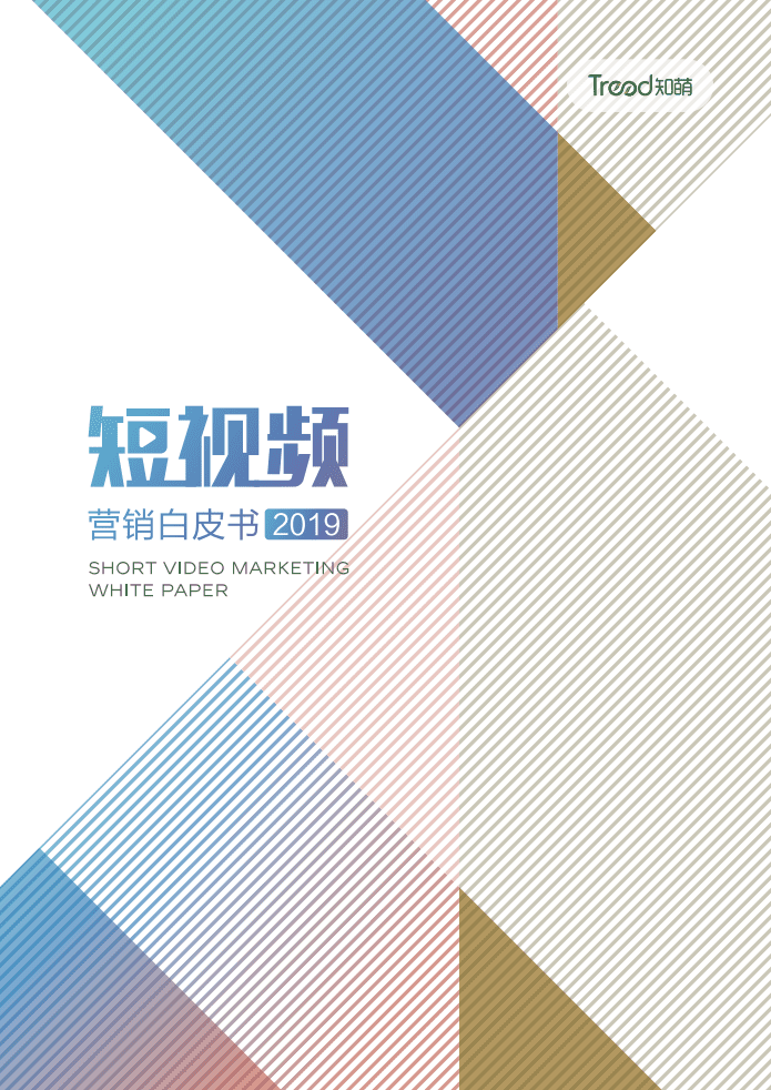 知萌：2019短视频营销白皮书.pdf 第1页