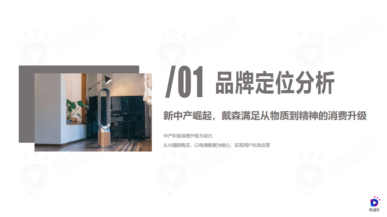 微播易：戴森品牌社媒营销分析方案.pdf 第2页