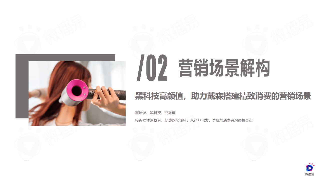 微播易：戴森品牌社媒营销分析方案.pdf 第6页