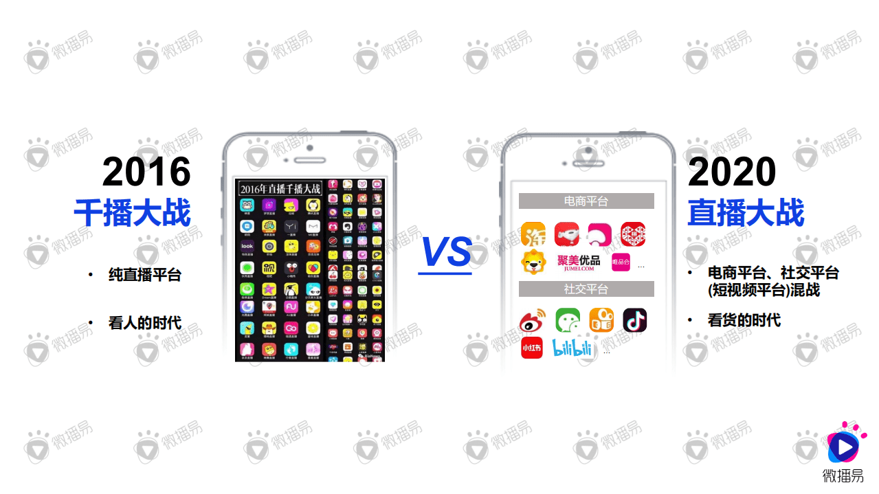 微播易：2020种草与带货的营销逻辑.pdf 第4页