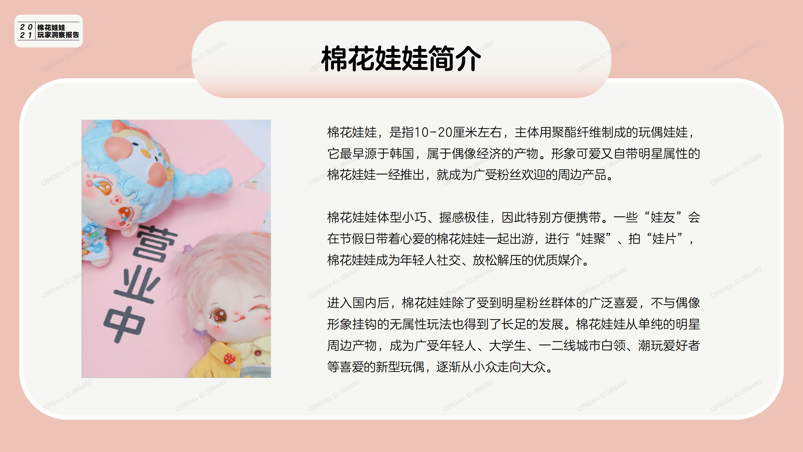 微店：2021棉花娃娃玩家洞察报告.pdf 第4页