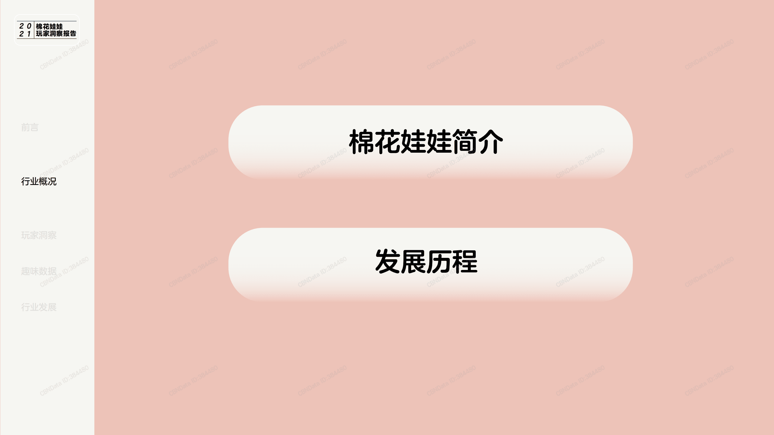 微店：2021棉花娃娃玩家洞察报告.pdf 第3页
