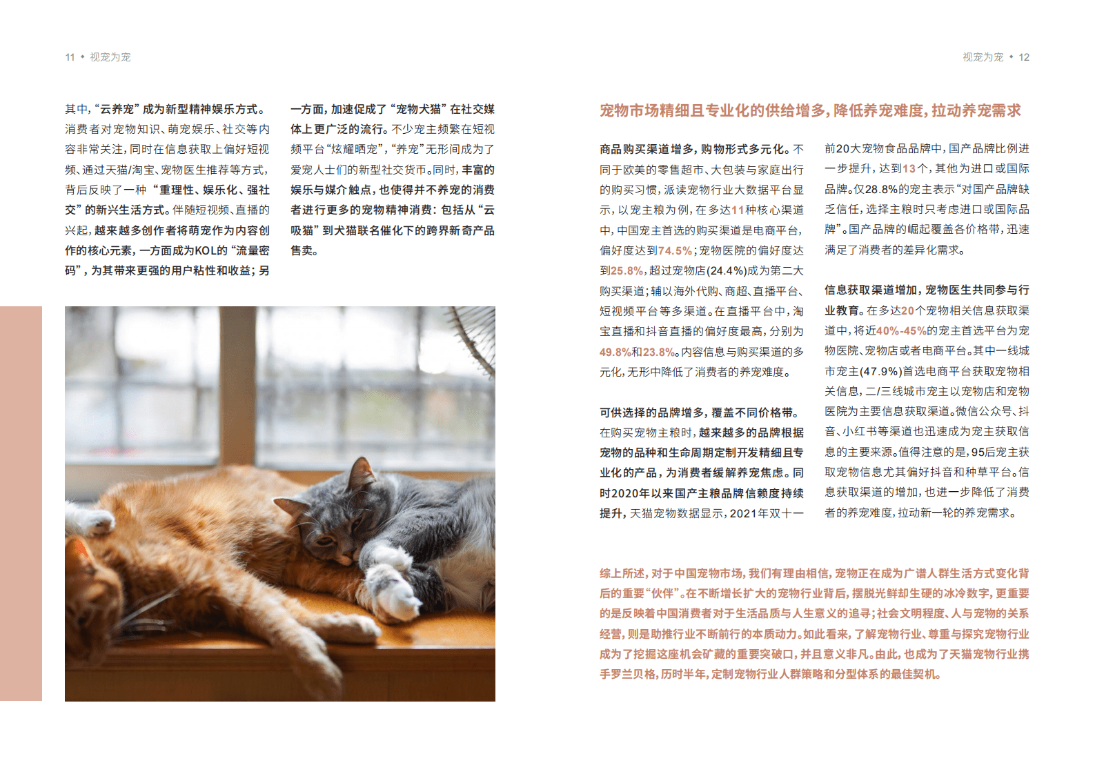 天猫&罗兰贝格：2022宠物品牌人群策略白皮书.pdf 第6页