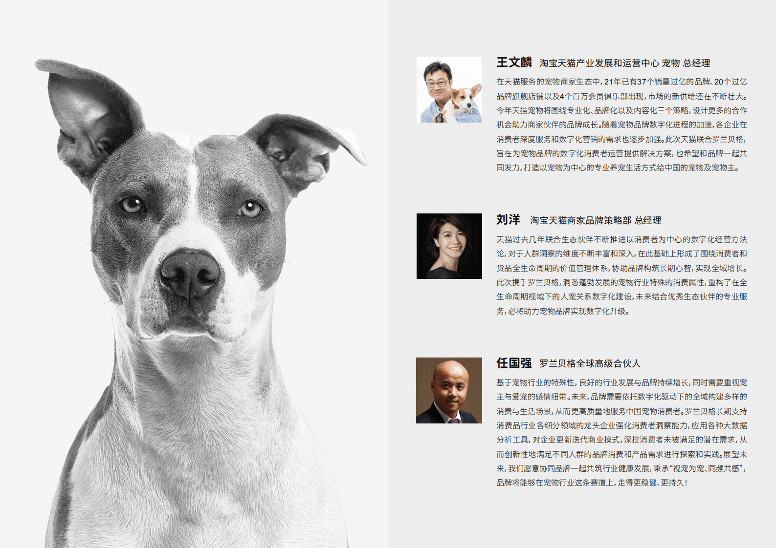 天猫&罗兰贝格：2022宠物品牌人群策略白皮书.pdf 第2页