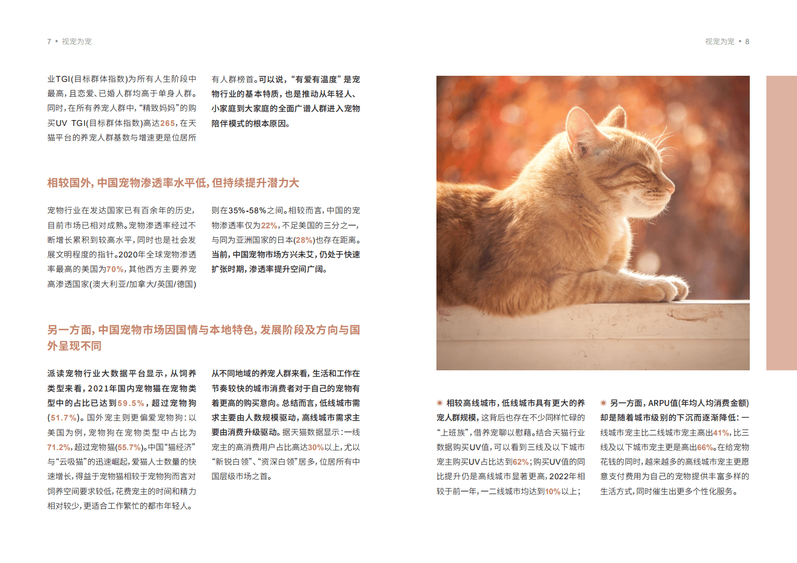 天猫&罗兰贝格：2022宠物品牌人群策略白皮书.pdf 第4页