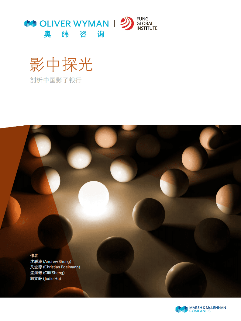 奥维咨询：2019影中探光：剖析中国影子银行.pdf 第1页