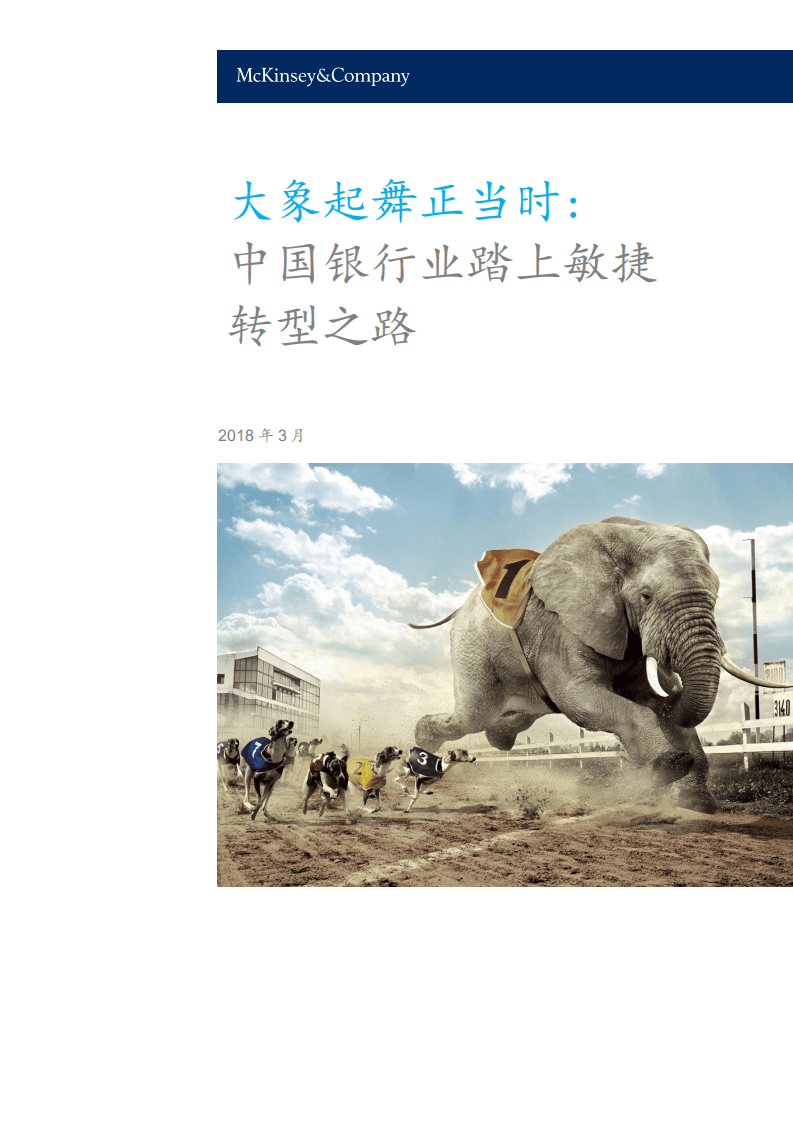 麦肯锡：2018大象起舞正当时：中国银行业踏上敏捷转型之路.pdf 第1页