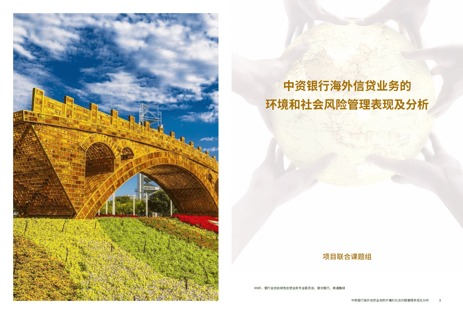 WWF：中资银行海外信贷业务的环境和社会风险管理表现及分析报告.pdf 第2页