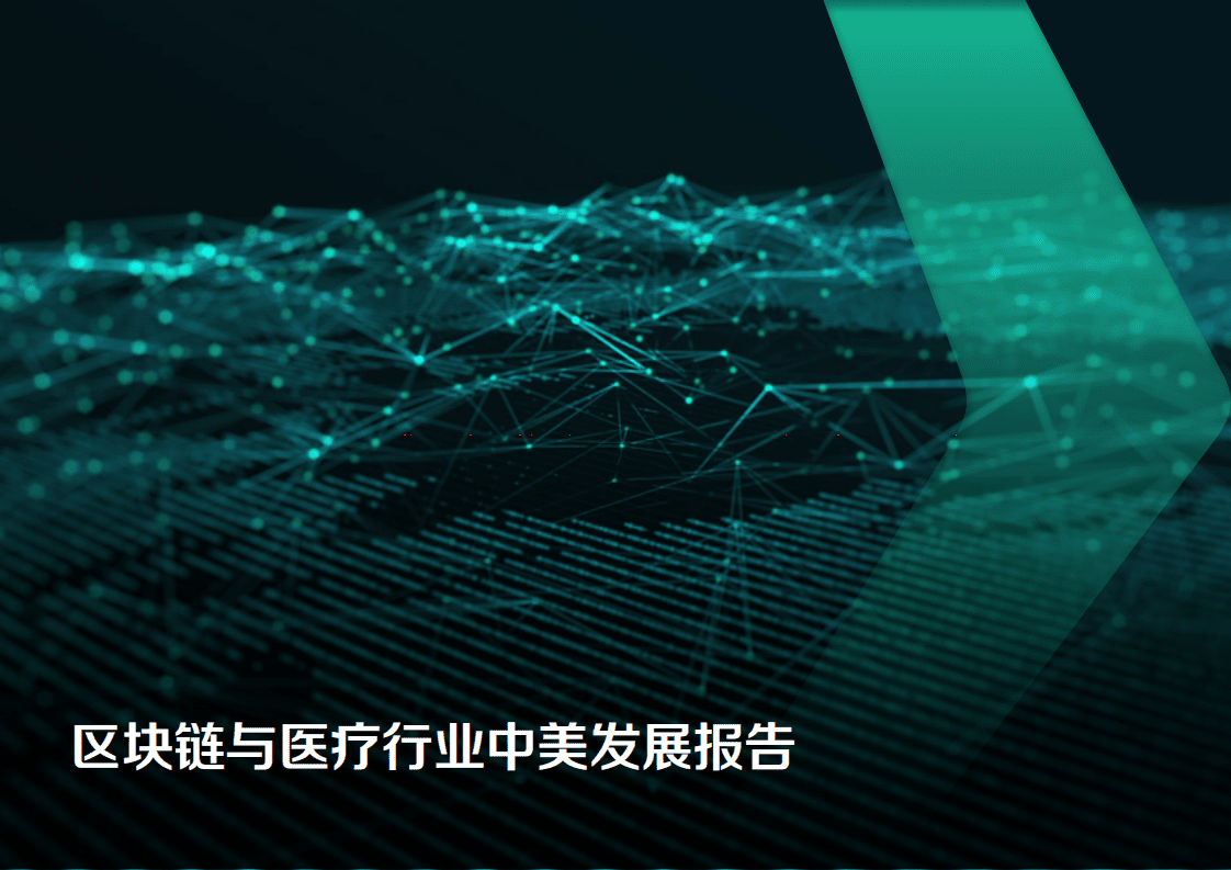 硅谷洞察：2019区块链与医疗行业中美发展报告.pdf 第1页