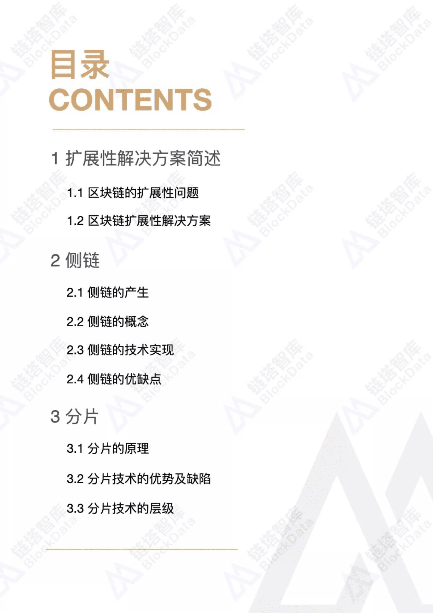 链塔智库：2019中国区块链产业年鉴：扩展性解决方案篇.pdf 第2页