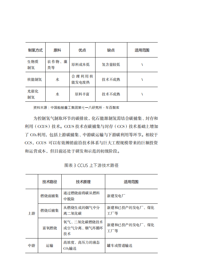 车百智库：中国氢能发展路线图1.0（2021）.pdf 第6页