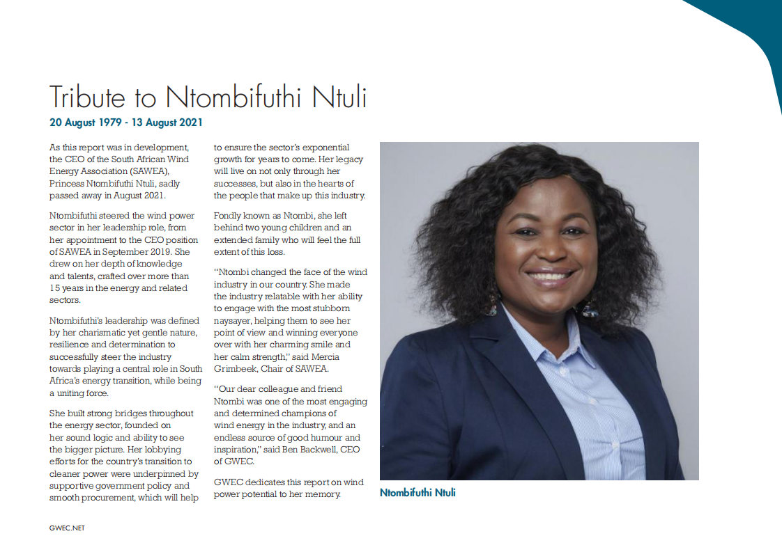 全球风能大会：从发展中经济体的风力发电中获取绿色复苏机会（英文版）.pdf 第3页