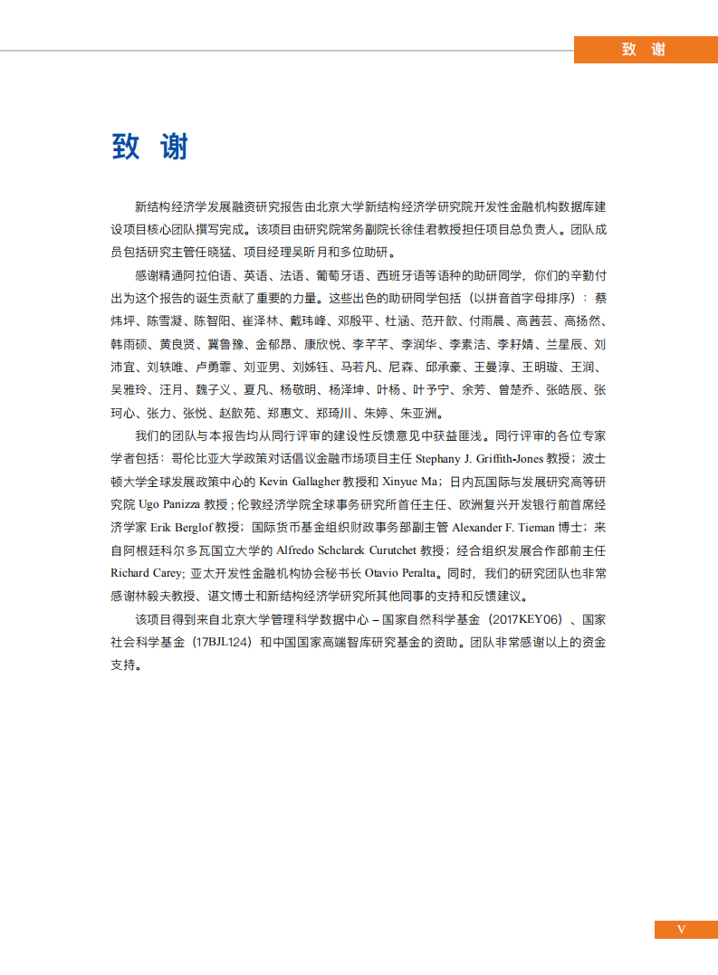 北京大学新结构经济学研究院：全球开发性金融机构全景概览：内涵、理据和多样性.pdf 第4页