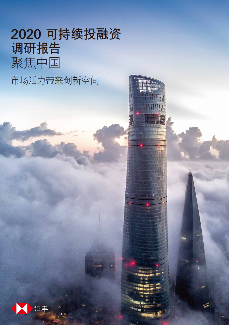 汇丰：2020 可持续投融资调研报告.pdf 第1页