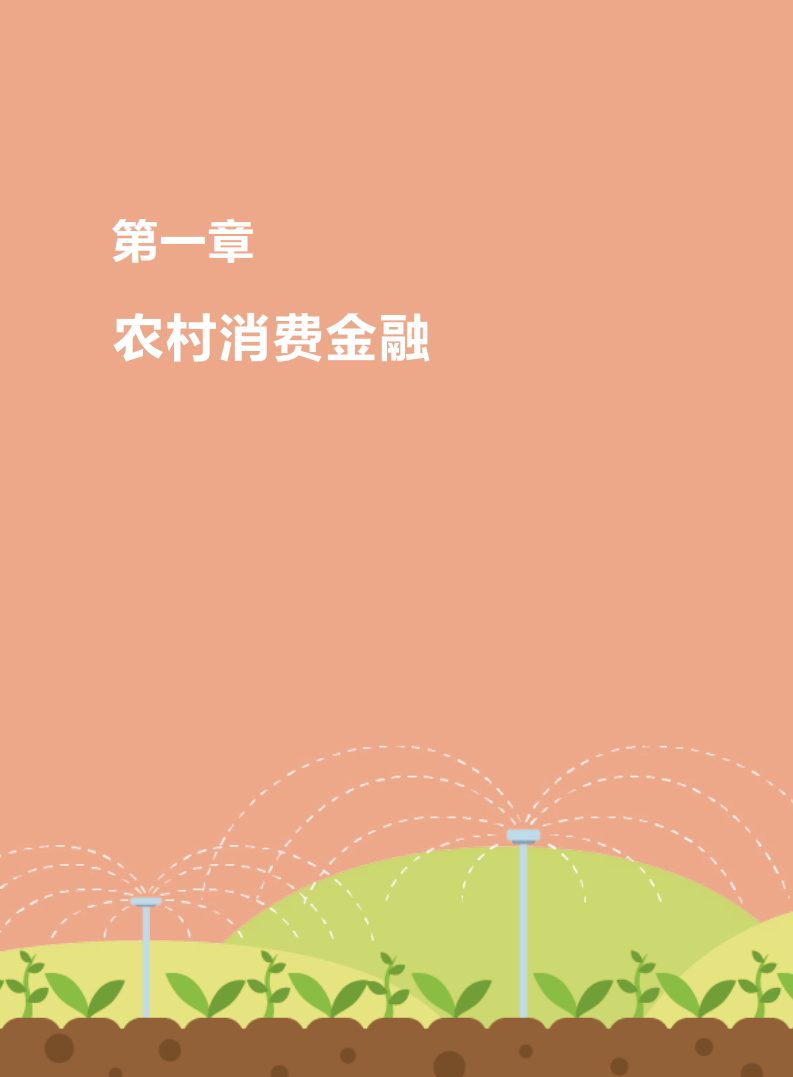 利基研究院：2017我国农村金融发展报告.pdf 第5页