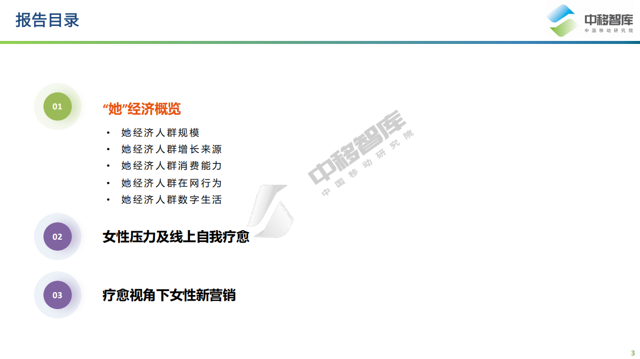 中移智库：2022“她”经济研究报告-梧桐中移指数系列报告.pdf 第3页