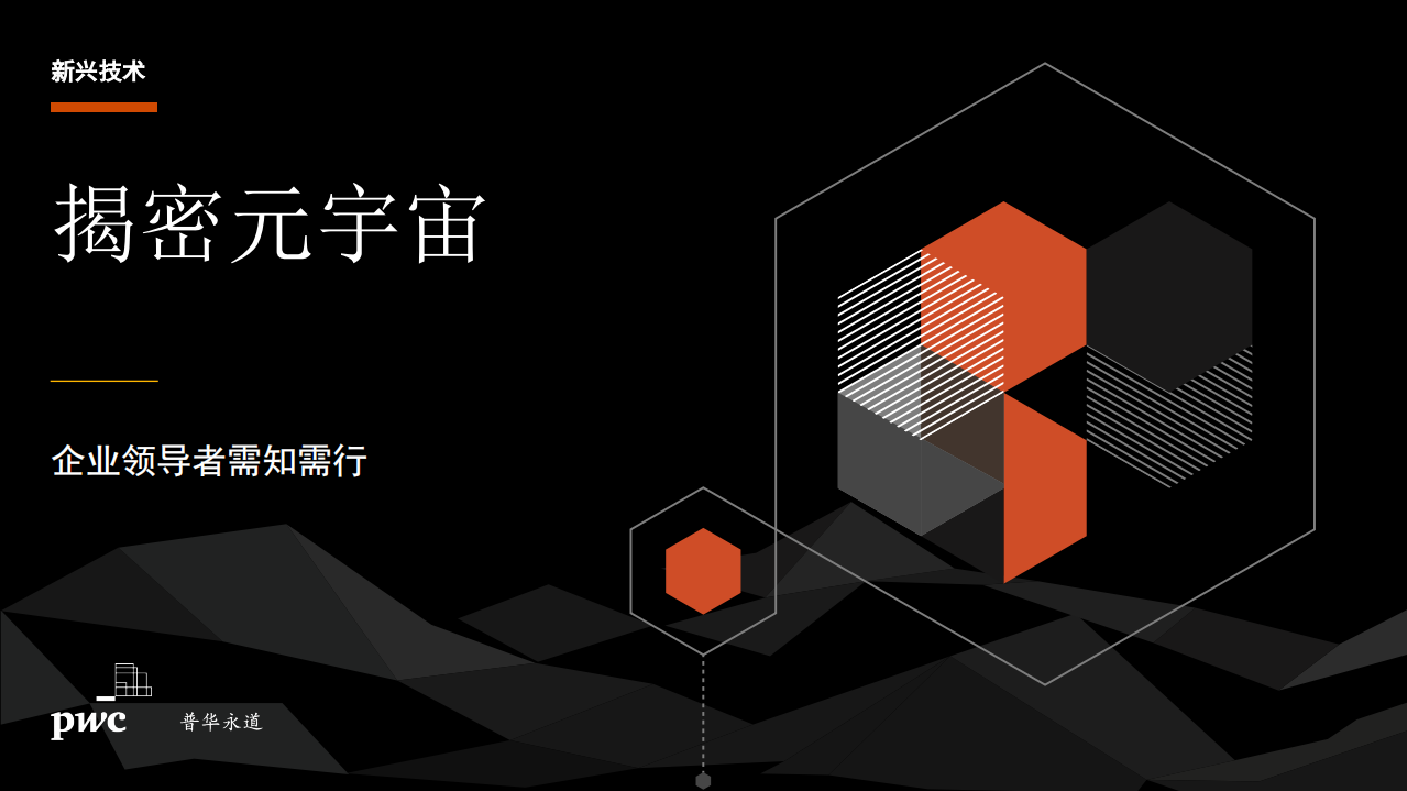 普华永道：揭秘元宇宙-企业领导者需知需行.pdf 第1页