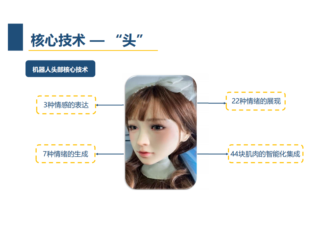 王磊：仿人机器人在元宇宙中的应用分享.pdf 第5页