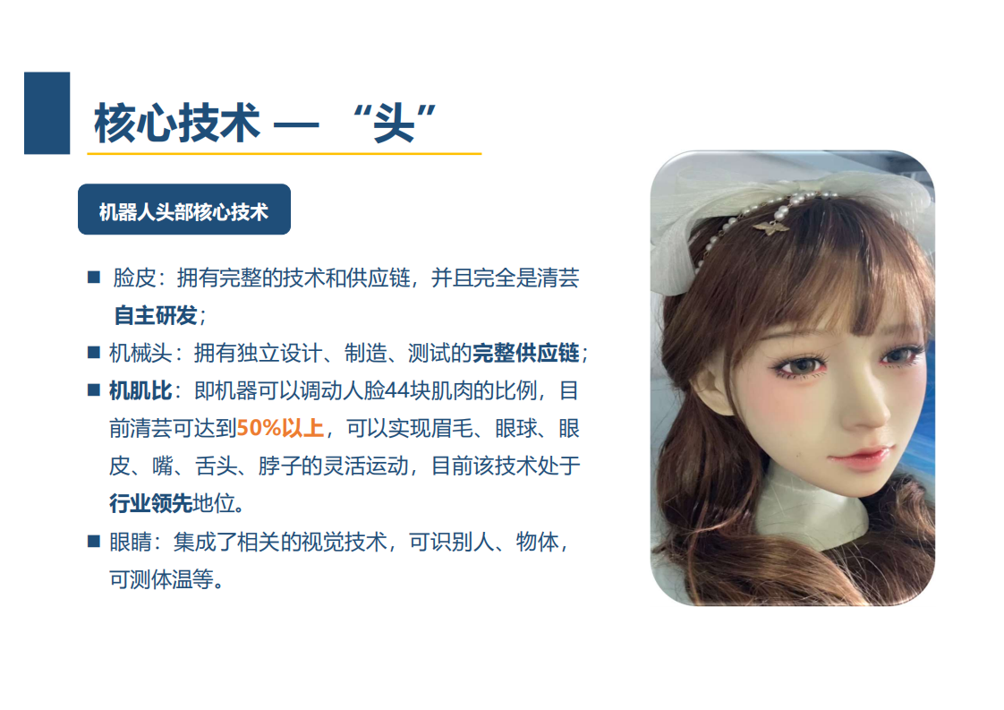 王磊：仿人机器人在元宇宙中的应用分享.pdf 第4页