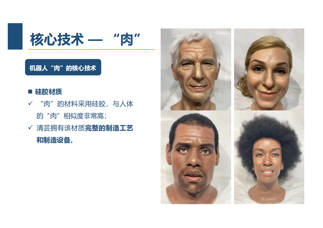 王磊：仿人机器人在元宇宙中的应用分享.pdf 第6页