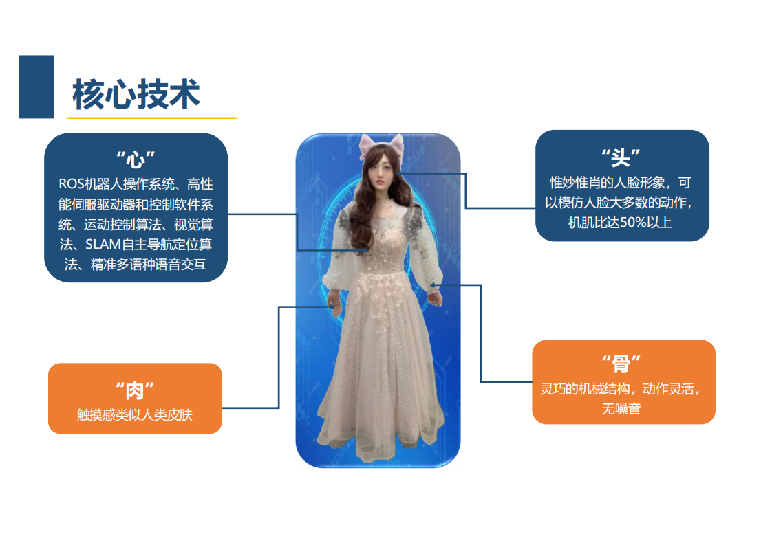 王磊：仿人机器人在元宇宙中的应用分享.pdf 第2页