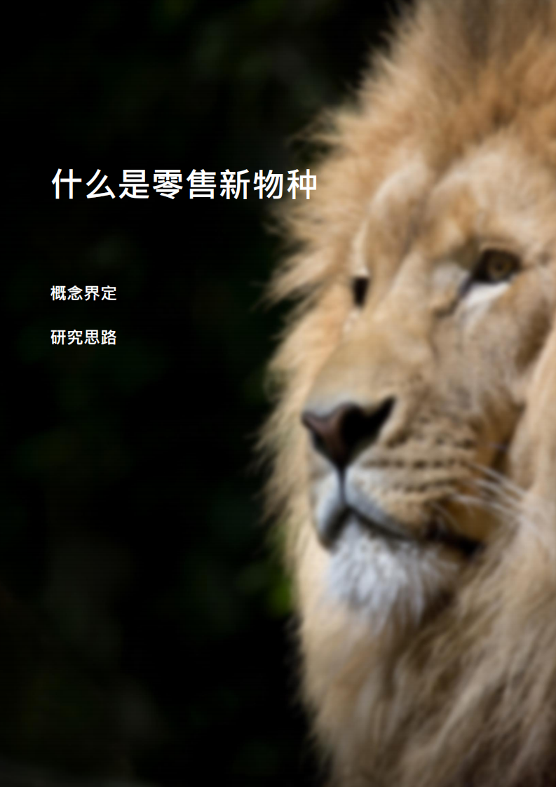 艾瑞咨询：2018年中国零售新物种研究报告.pdf 第3页