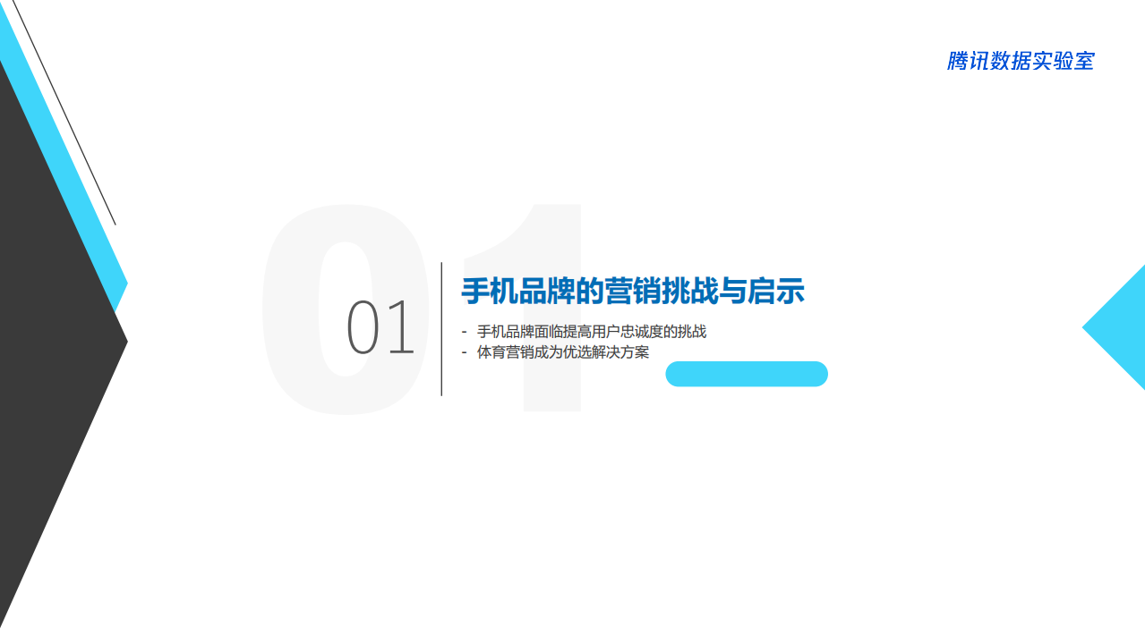 腾讯数据实验室：2018手机行业世界杯营销白皮书.pdf 第4页