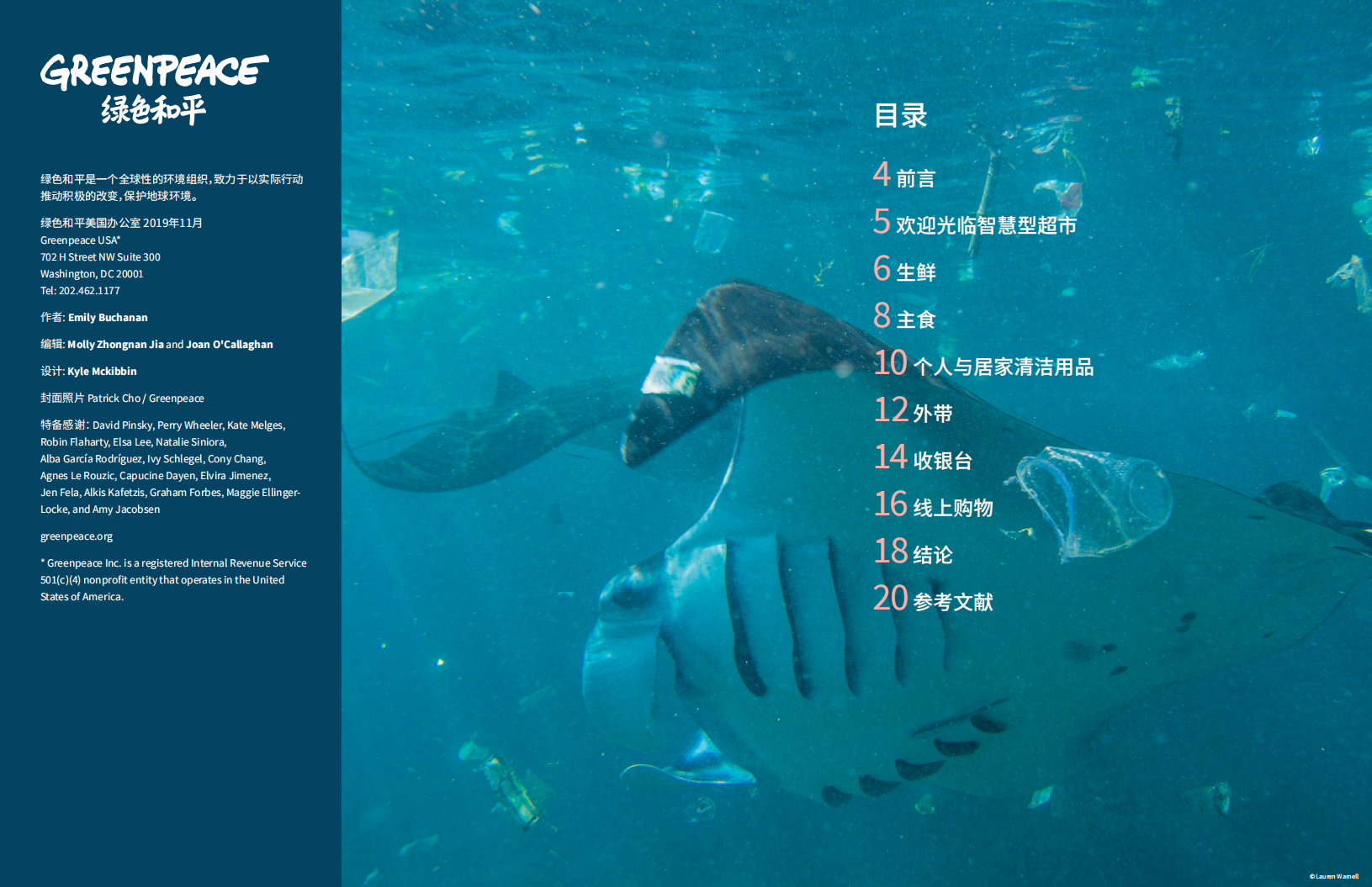 绿色和平：2020年智慧型超市-零售商如何通过创新，超越对一次性塑料包装的依赖.pdf 第2页