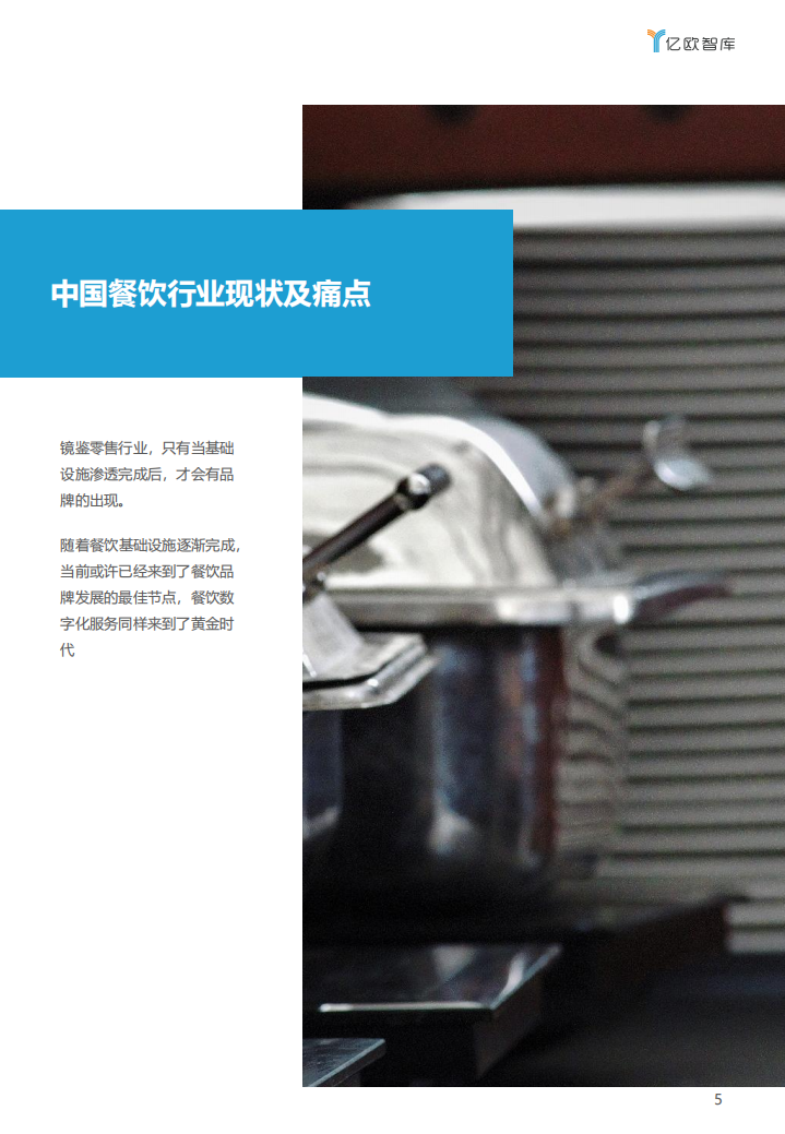 亿欧智库：后疫情时代：从哗啦啦看餐饮SaaS的关键转型.pdf 第5页