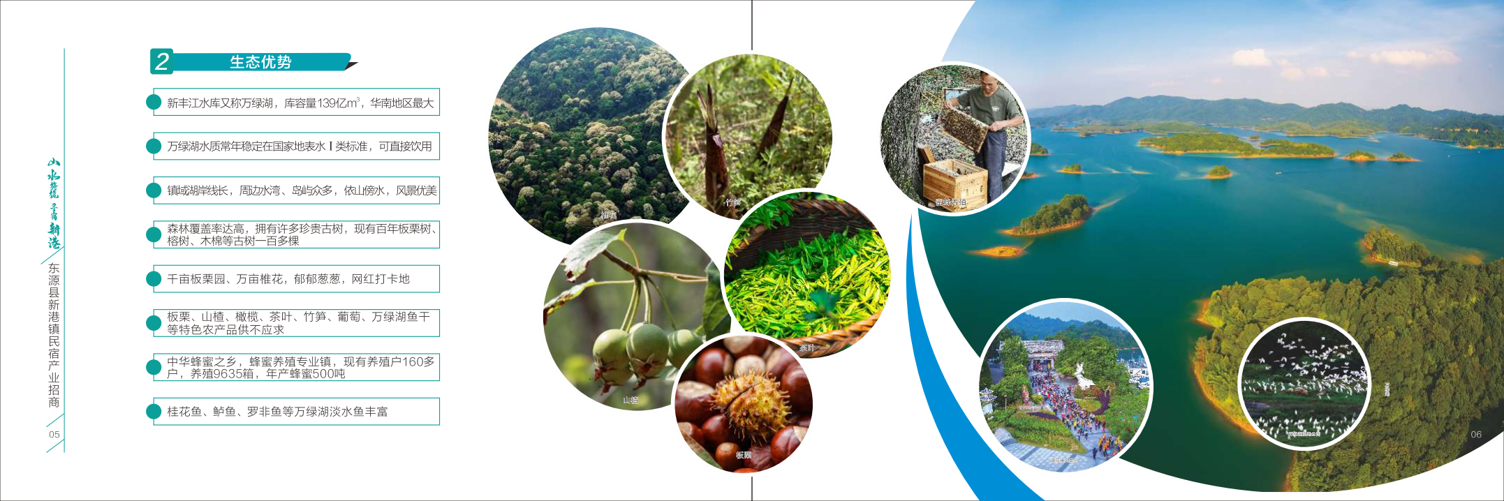 新港镇民宿产业招商画册(横版)14页.pdf 第6页