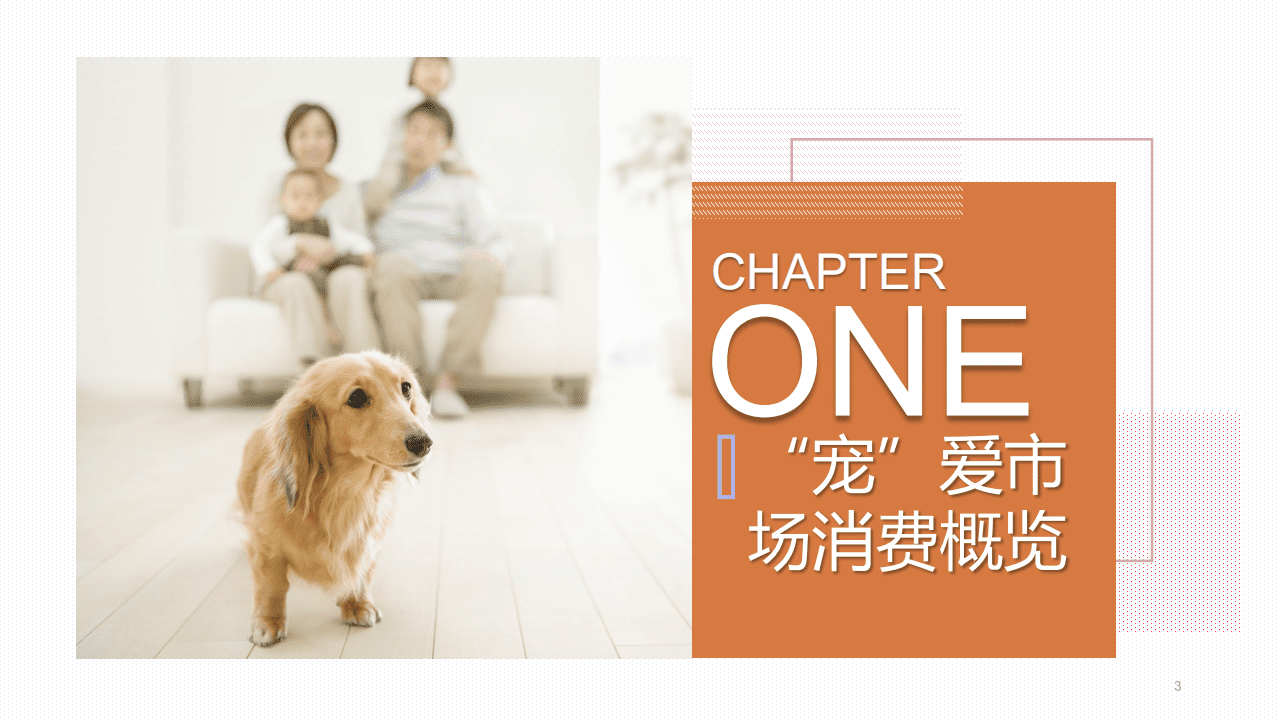 2019宠物消费生态大数据报告.pdf 第3页