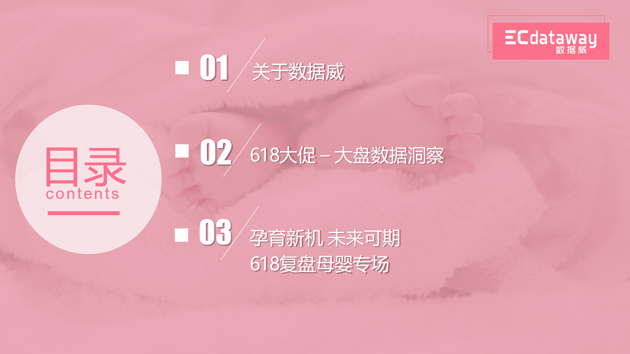 数据威：2020年618电商大促洞察分析报告&mdash;母婴亲子专场.pdf 第2页