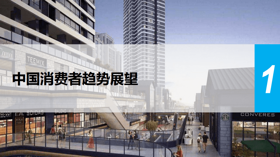 尼尔森：2019消费者与零售趋势分享.pdf 第3页