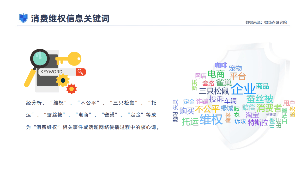 新浪&黑猫投诉：2021年消费者权益保护白皮书.pdf 第6页