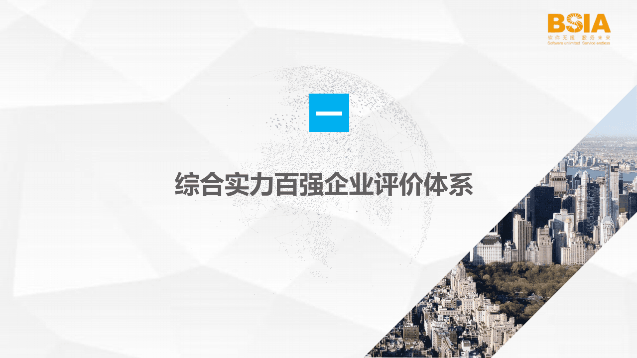 BSIA：2020北京软件和信息服务业综合实力百强企业报告.pdf 第4页