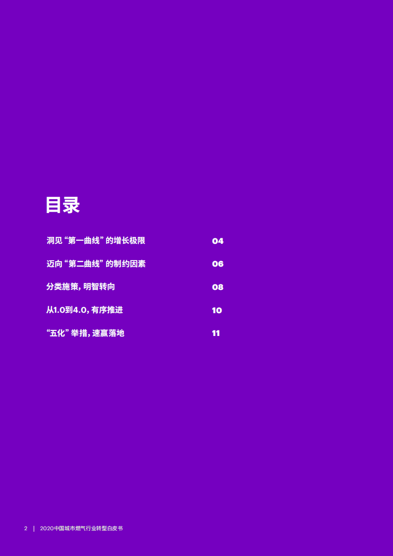 埃森哲：2020中国城市燃气行业转型白皮书.pdf 第2页