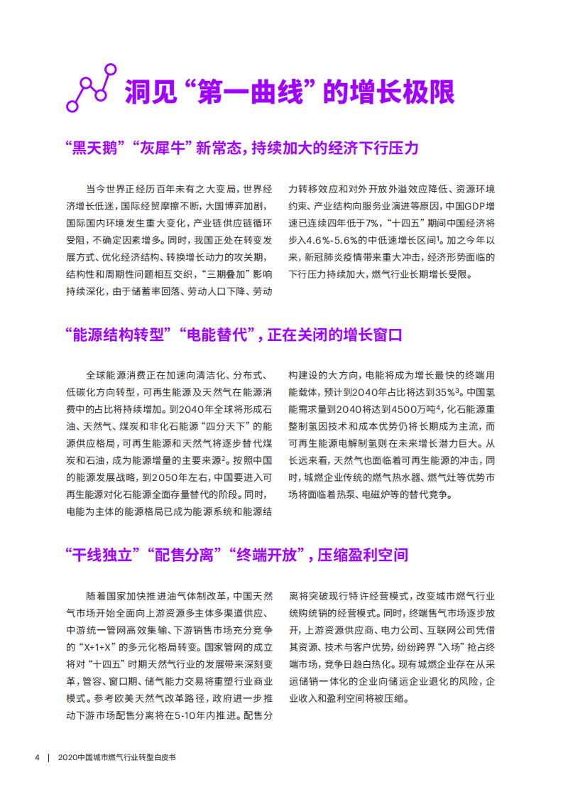 埃森哲：2020中国城市燃气行业转型白皮书.pdf 第4页
