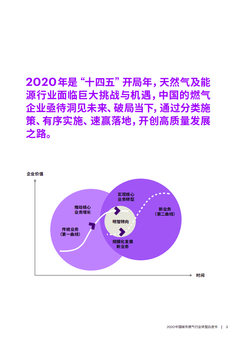 埃森哲：2020中国城市燃气行业转型白皮书.pdf 第3页