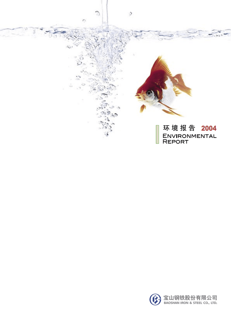 宝钢股份：2004年可持续发展报告.pdf 第1页