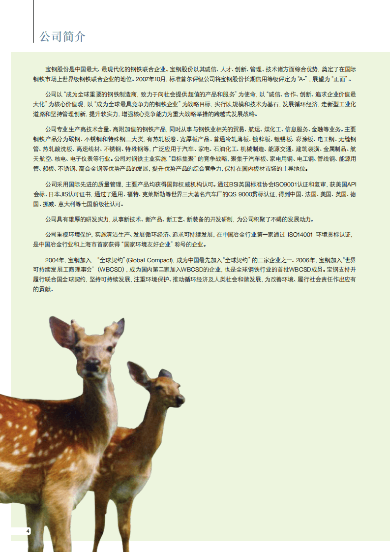 宝钢股份：2007年可持续发展报告.pdf 第6页