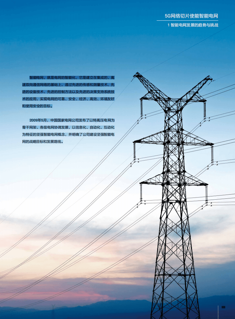 中国电信&华为：5G网络切片使能智能电网.pdf 第5页
