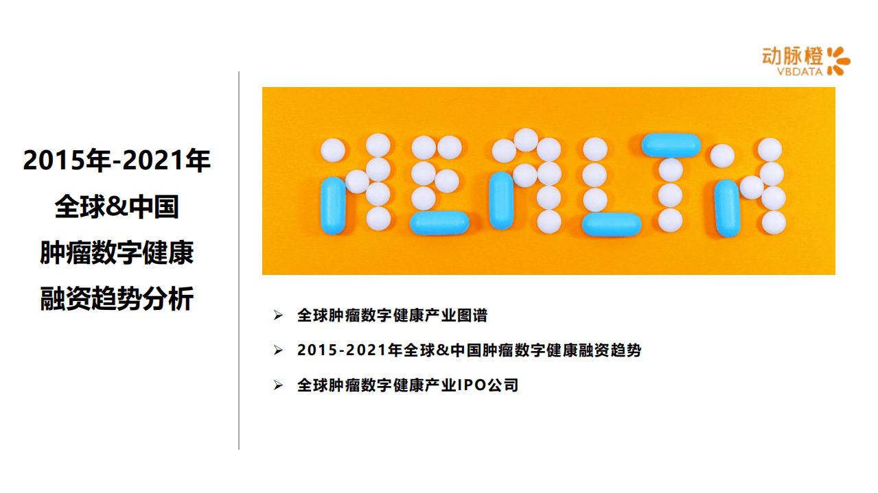 动脉橙：2021年全球肿瘤数字健康价值趋势报告.pdf 第3页