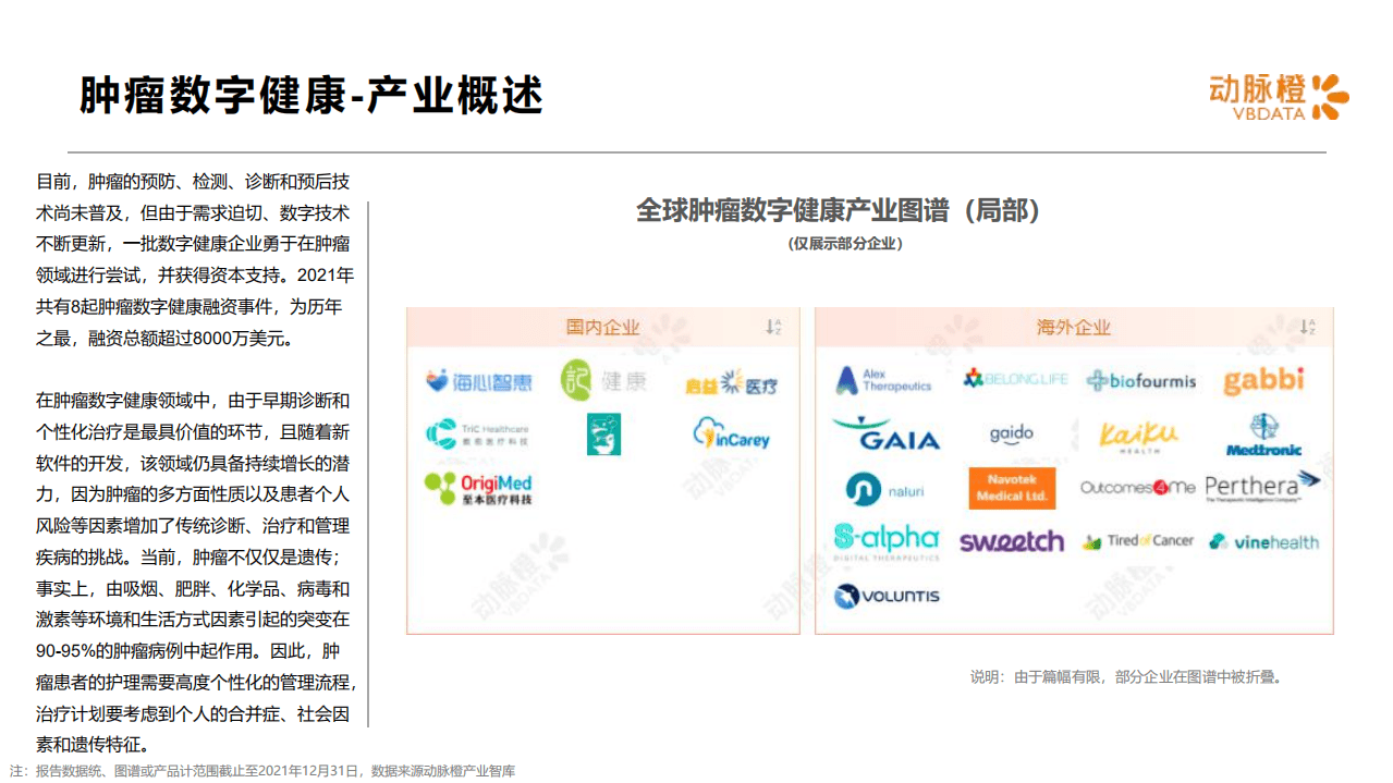 动脉橙：2021年全球肿瘤数字健康价值趋势报告.pdf 第4页