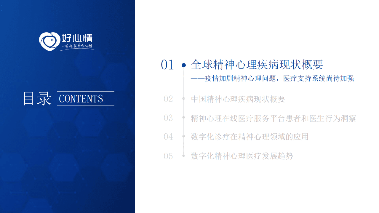 好欣晴：2022年数字化精神心理健康服务行业蓝皮书.pdf 第2页